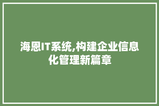 海恩IT系统,构建企业信息化管理新篇章