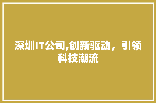 深圳IT公司,创新驱动，引领科技潮流