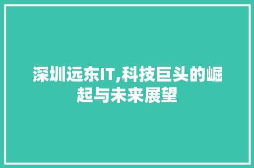 深圳远东IT,科技巨头的崛起与未来展望