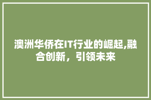 澳洲华侨在IT行业的崛起,融合创新，引领未来