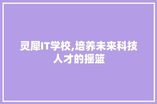 灵犀IT学校,培养未来科技人才的摇篮