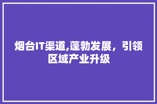 烟台IT渠道,蓬勃发展，引领区域产业升级