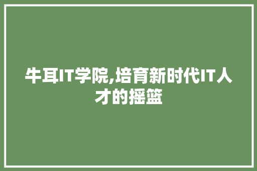 牛耳IT学院,培育新时代IT人才的摇篮