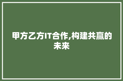 甲方乙方IT合作,构建共赢的未来
