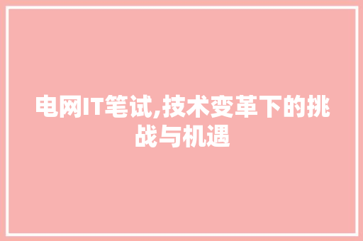 电网IT笔试,技术变革下的挑战与机遇