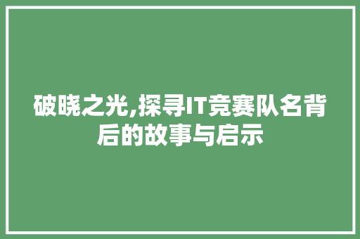 破晓之光,探寻IT竞赛队名背后的故事与启示