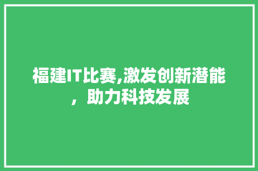 福建IT比赛,激发创新潜能，助力科技发展