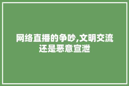 网络直播的争吵,文明交流还是恶意宣泄