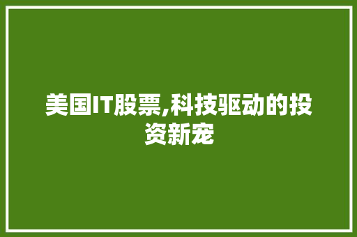 美国IT股票,科技驱动的投资新宠