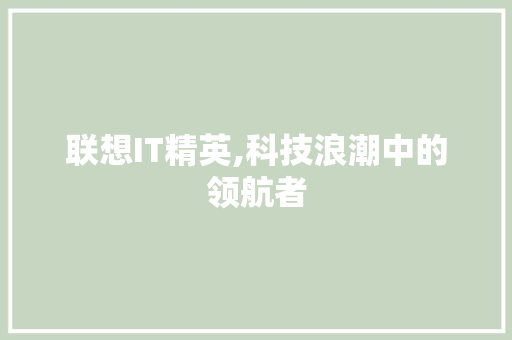 联想IT精英,科技浪潮中的领航者