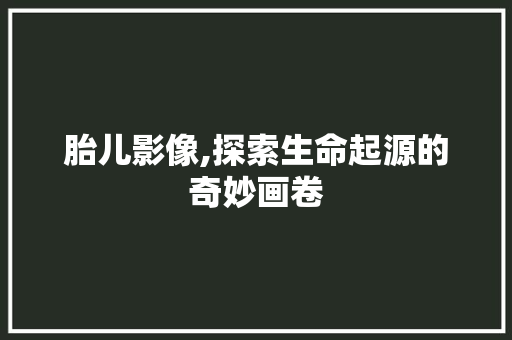 胎儿影像,探索生命起源的奇妙画卷