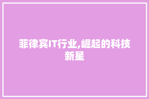 菲律宾IT行业,崛起的科技新星