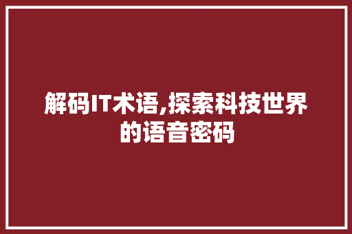 解码IT术语,探索科技世界的语音密码