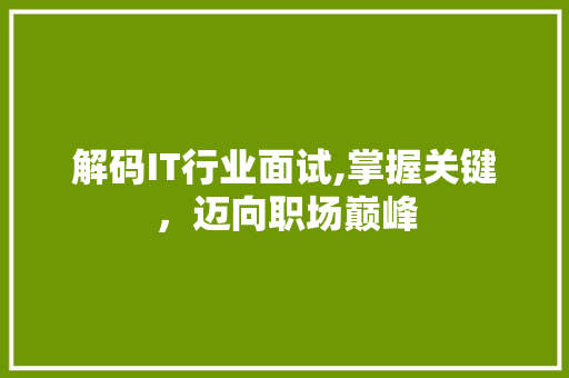 解码IT行业面试,掌握关键，迈向职场巅峰