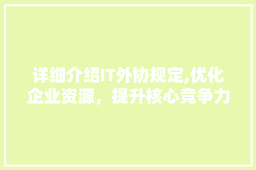 详细介绍IT外协规定,优化企业资源，提升核心竞争力