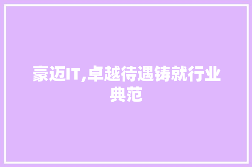 豪迈IT,卓越待遇铸就行业典范