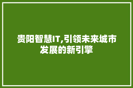 贵阳智慧IT,引领未来城市发展的新引擎