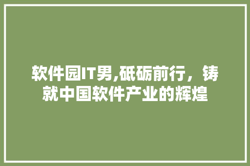 软件园IT男,砥砺前行，铸就中国软件产业的辉煌