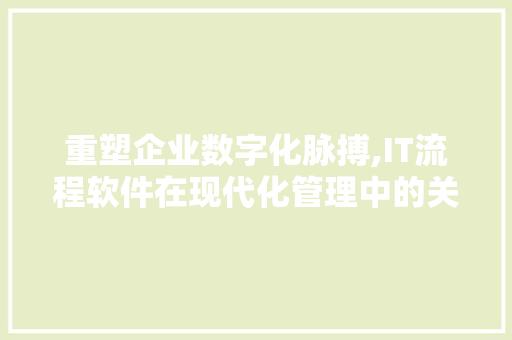 重塑企业数字化脉搏,IT流程软件在现代化管理中的关键作用