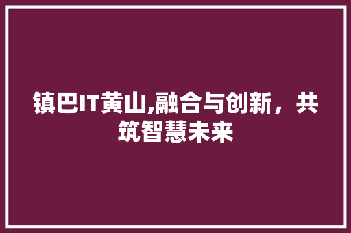 镇巴IT黄山,融合与创新，共筑智慧未来