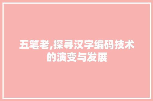 五笔老,探寻汉字编码技术的演变与发展