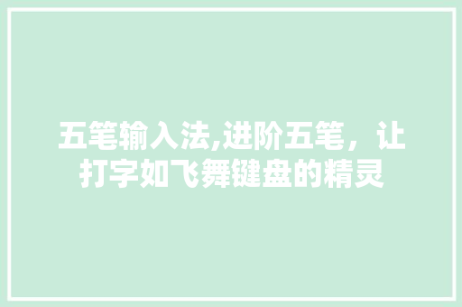 五笔输入法,进阶五笔，让打字如飞舞键盘的精灵