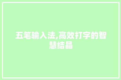 五笔输入法,高效打字的智慧结晶