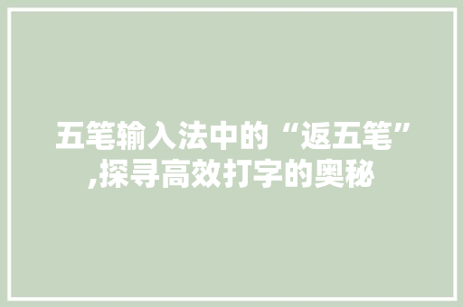 五笔输入法中的“返五笔”,探寻高效打字的奥秘