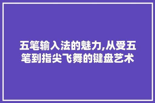五笔输入法的魅力,从受五笔到指尖飞舞的键盘艺术