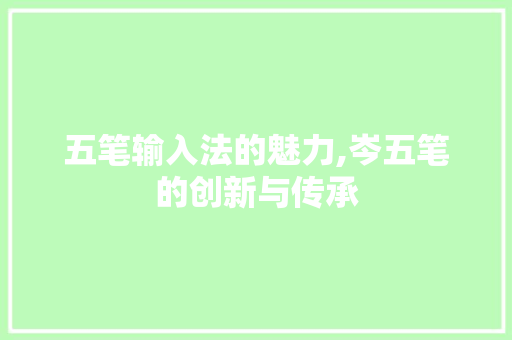 五笔输入法的魅力,岑五笔的创新与传承