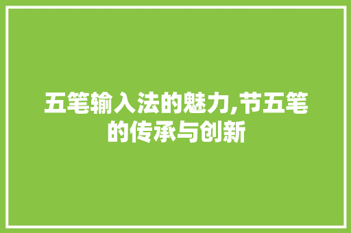 五笔输入法的魅力,节五笔的传承与创新