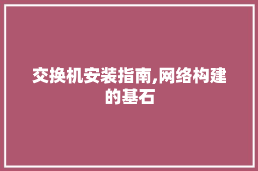 交换机安装指南,网络构建的基石