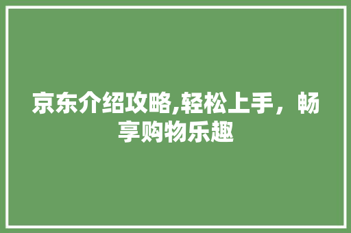京东介绍攻略,轻松上手，畅享购物乐趣
