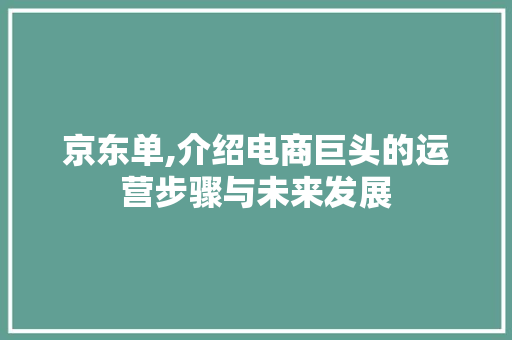 京东单,介绍电商巨头的运营步骤与未来发展