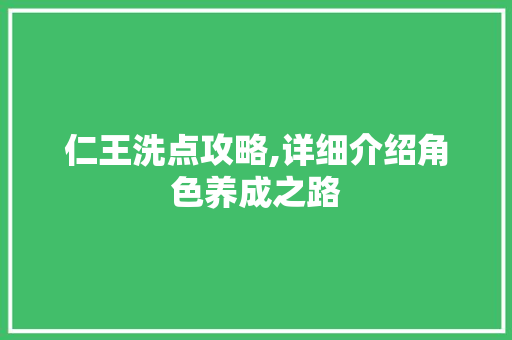 仁王洗点攻略,详细介绍角色养成之路