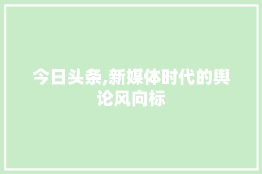 今日头条,新媒体时代的舆论风向标