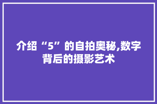 介绍“5”的自拍奥秘,数字背后的摄影艺术