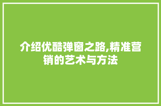 介绍优酷弹窗之路,精准营销的艺术与方法