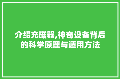 介绍充磁器,神奇设备背后的科学原理与适用方法