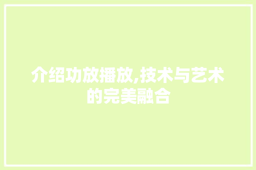 介绍功放播放,技术与艺术的完美融合