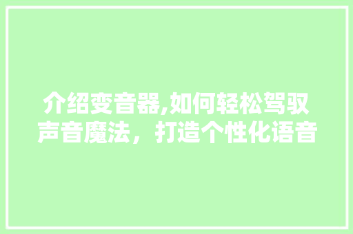 介绍变音器,如何轻松驾驭声音魔法，打造个性化语音体验