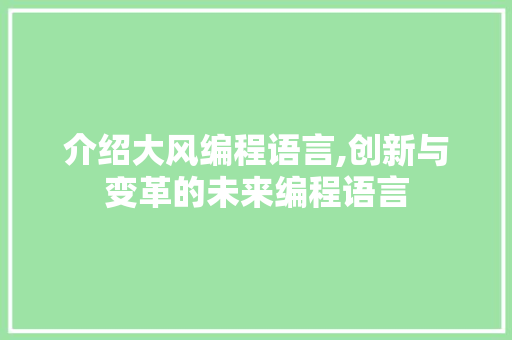 介绍大风编程语言,创新与变革的未来编程语言