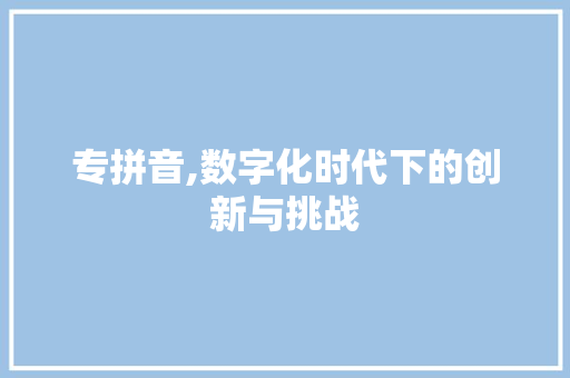 专拼音,数字化时代下的创新与挑战