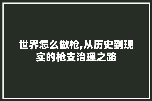 世界怎么做枪,从历史到现实的枪支治理之路