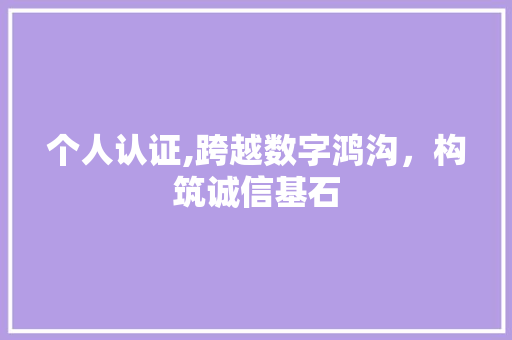 个人认证,跨越数字鸿沟，构筑诚信基石