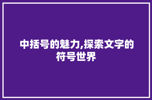 中括号的魅力,探索文字的符号世界