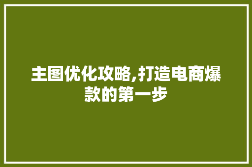 主图优化攻略,打造电商爆款的第一步