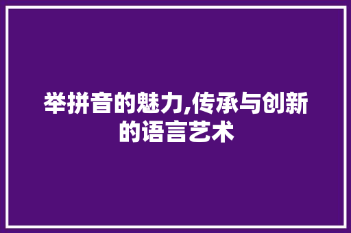 举拼音的魅力,传承与创新的语言艺术