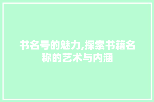书名号的魅力,探索书籍名称的艺术与内涵