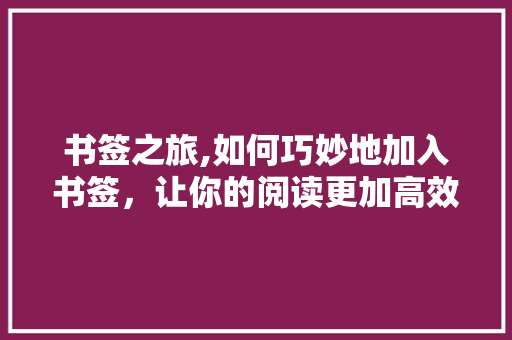 书签之旅,如何巧妙地加入书签，让你的阅读更加高效